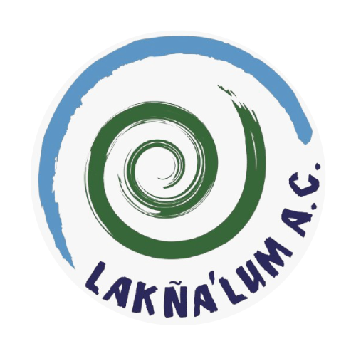 Logotipo Colaborador