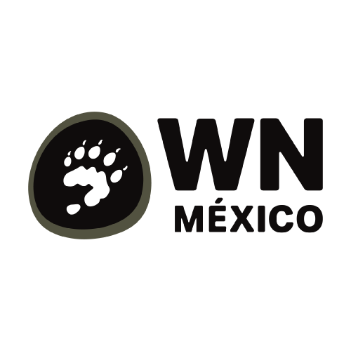 Logotipo Colaborador