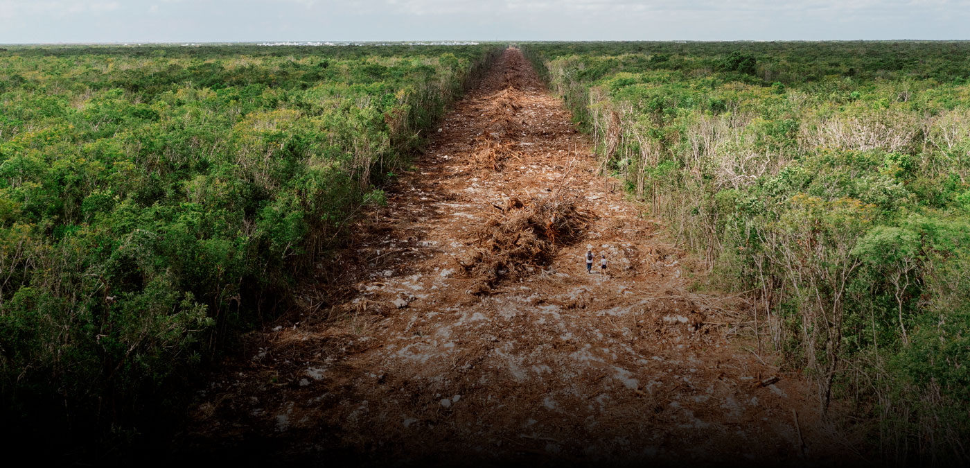 El Observatorio de Crisis Climática y Presupuesto Público