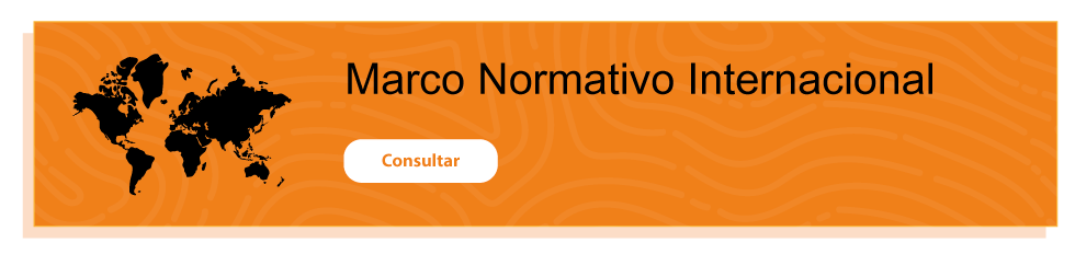 Marco Normativo Internacional