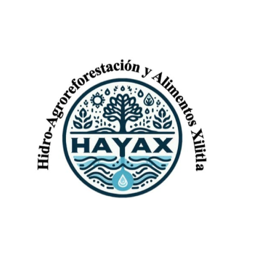 Logotipo Colaborador